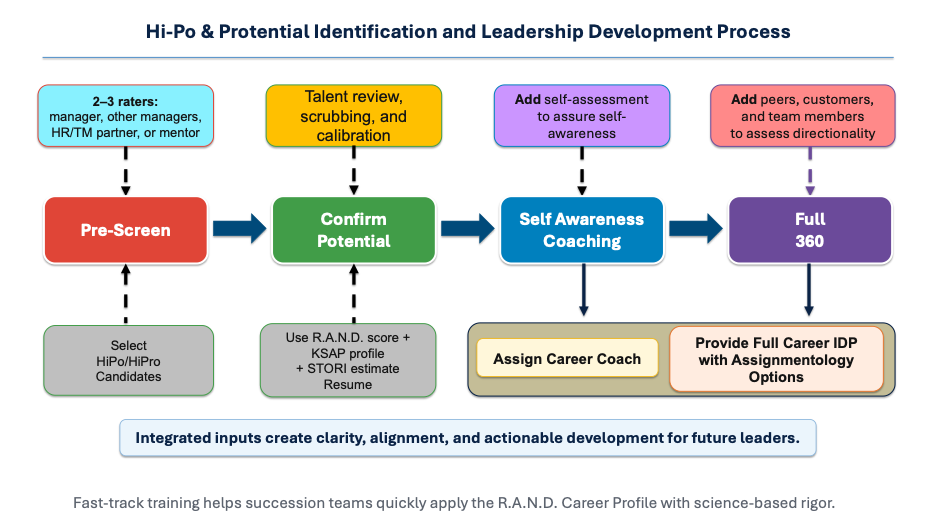 Evidence-Based Succession Planning Process